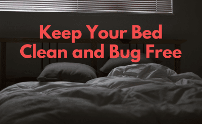 Keep Your Bed Clean and Bug Free