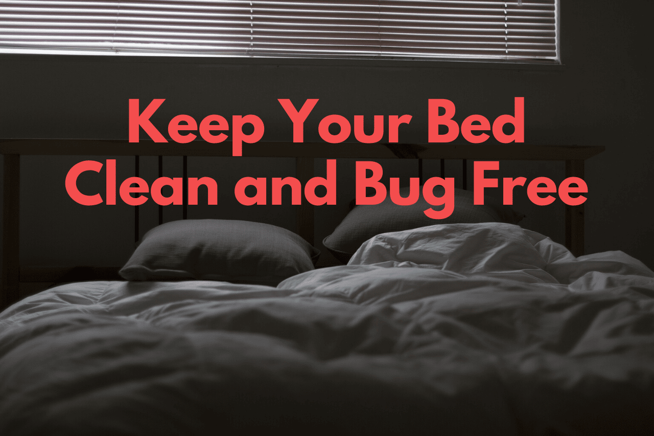 Keep Your Bed Clean and Bug Free